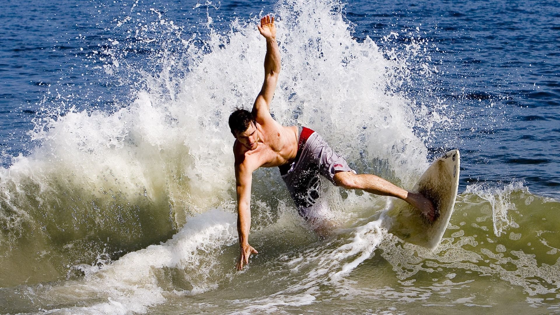 武切维奇，当魔术师穿上骑士的铠甲，芝加哥的棋盘上谁才是真正的王？